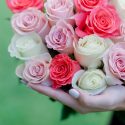 Букет из 25 роз нежный микс (Эквадор) заказать