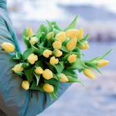 25 жёлтых тюльпанов с доставкой