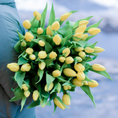 25 жёлтых тюльпанов с доставкой