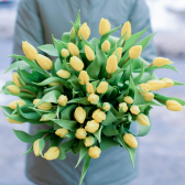25 жёлтых тюльпанов заказать