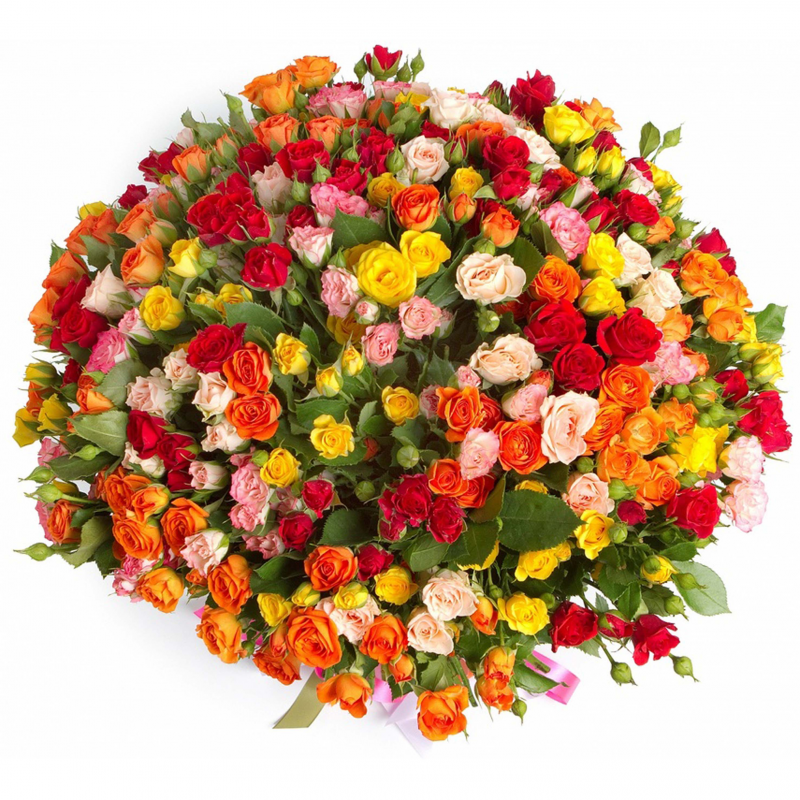 Букет "101 разноцветная кустовая роза" с доставкой
