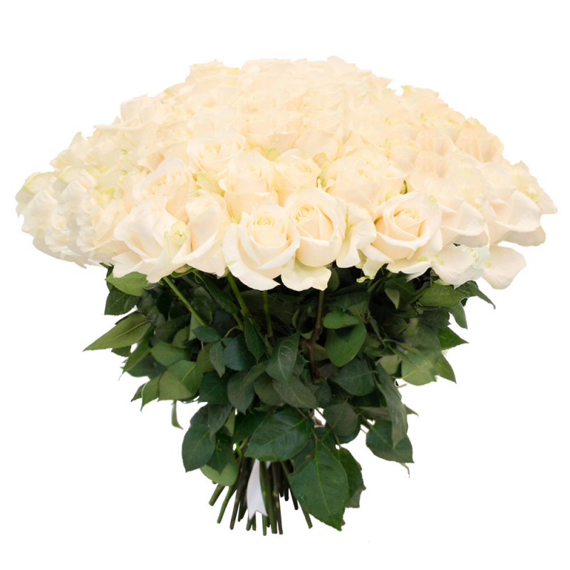 Букет "101 белая роза" с доставкой