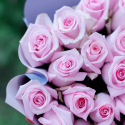 Букет из 25 роз Engagement (Эквадор) купить