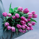 25 розовых тюльпанов