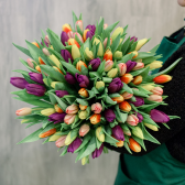 Букет "101 разноцветный тюльпан" с доставкой