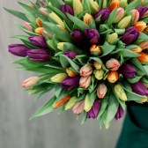 Букет "101 разноцветный тюльпан" купить