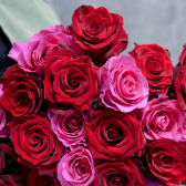 Букет из 25 роз яркий микс (Эквадор) заказать