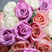Букет из 25 роз яркий микс (Эквадор) купить