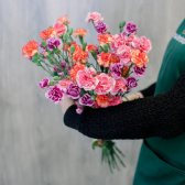 Букет из 25 кустовых гвоздик