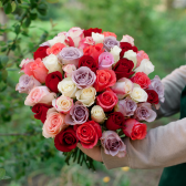 51 разноцветная роза (Кения) заказать