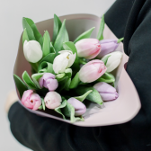 11 тюльпанов в упаковке (нежный микс) заказать