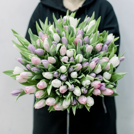 101 тюльпан (нежный микс)