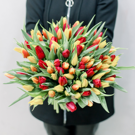 101 тюльпан (яркий микс)