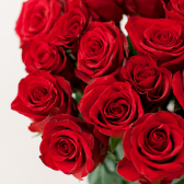 Букет из 15 красных роз 70 см (Эквадор) заказать