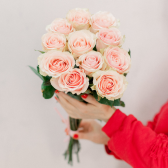 11 эквадорских розовых роз Фрутетта 70см купить