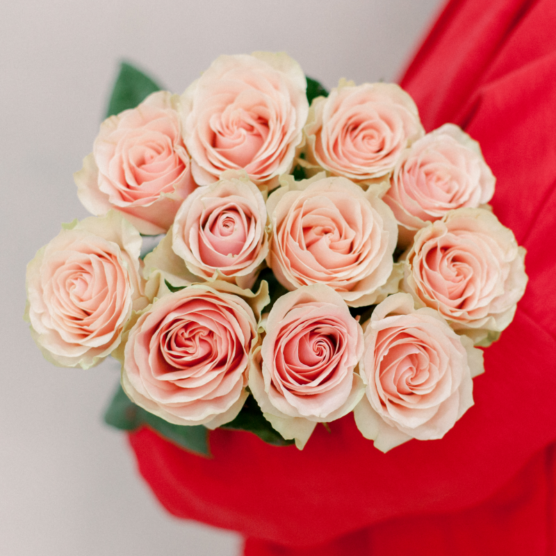 11 эквадорских розовых роз Фрутетта 70см с доставкой