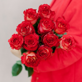 11 эквадорских красных роз Игуазу 70см купить