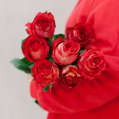 7 эквадорских красных роз Игуазу 70см купить