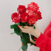 7 эквадорских красных роз Игуазу 70см с доставкой