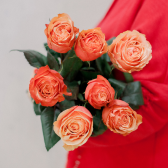 7 эквадорских персиковых роз Кахала 70см купить