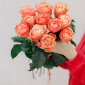 11 эквадорских персиковых роз Кахала 70см с доставкой
