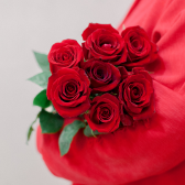 7 эквадорских красных роз Фридом 60см купить