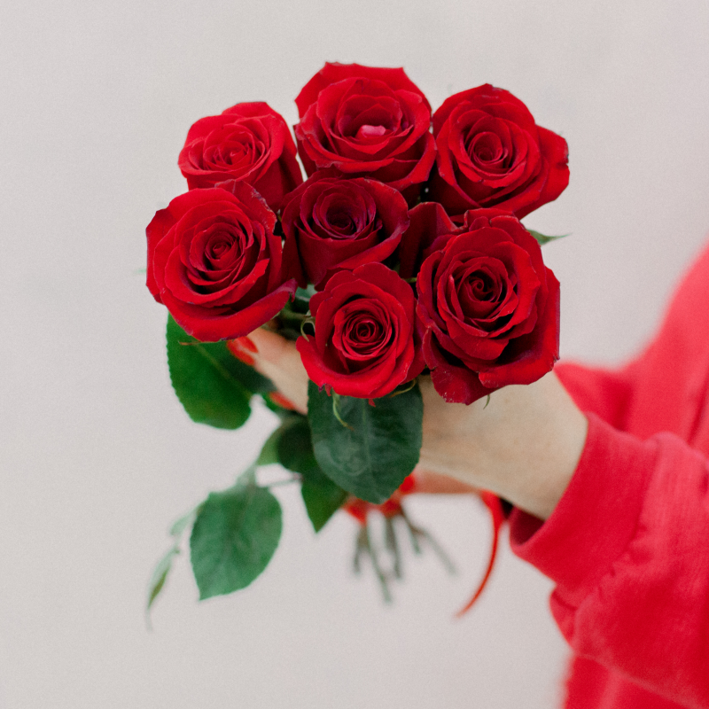7 эквадорских красных роз Фридом 60см с доставкой