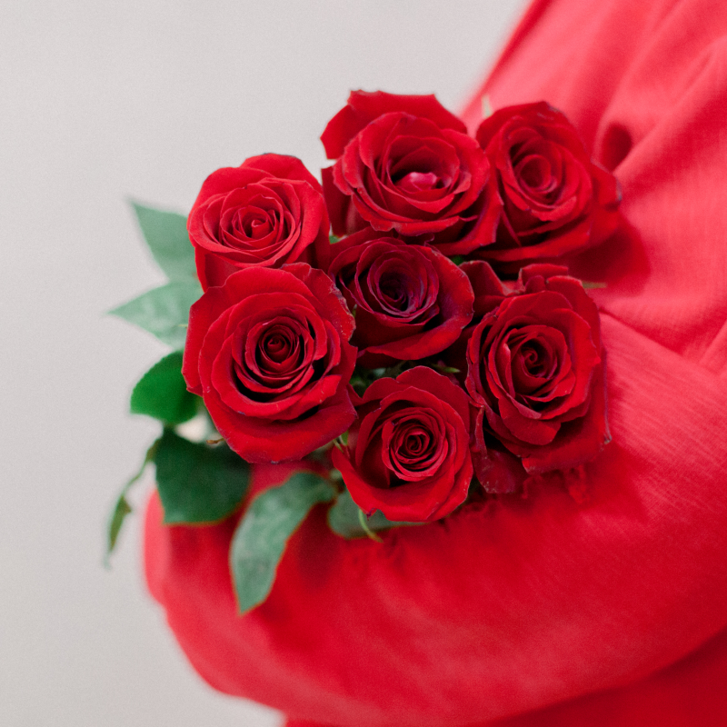 7 эквадорских красных роз Фридом 50см с доставкой