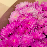 Букет из 7 розовых хризантем(с упаковкой) заказать