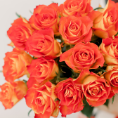 25 оранжевых роз кения заказать