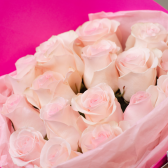 Букет из 15 розовых роз (Эквадор) заказать