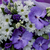 Букет с орхидеями, хризантемой и альстромериями заказать