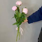 Букет из 3 розовых пионов заказать